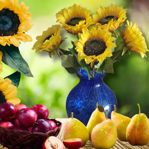 Szálas napraforgó 40cm – virágdekorációhoz, koszorúhoz