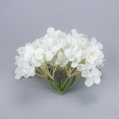 Hortenzia fej fehér