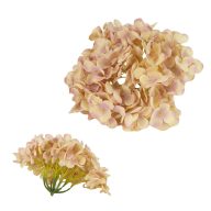 Hortenzia fej vanília álom – koszorúhoz, természetes dekorációhoz