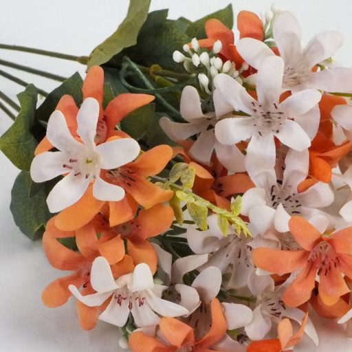 Dalmát harangvirág csokor fehér-barack