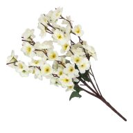 9 ágú barackvirág csokor krém