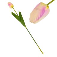 Szálas tulipán sárga - halvány-rózsaszín – virágdekorációhoz, koszorúhoz