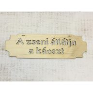 "A zseni átlátja a káoszt" tábla – festéshez, dekorációhoz