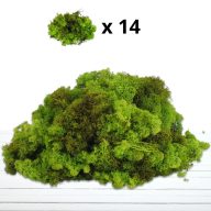 Izlandi zuzmó 500 g - almazöld – kreatív dekorációhoz – kreatív hobby projektekhez és dekorációhoz – Papelito.hu