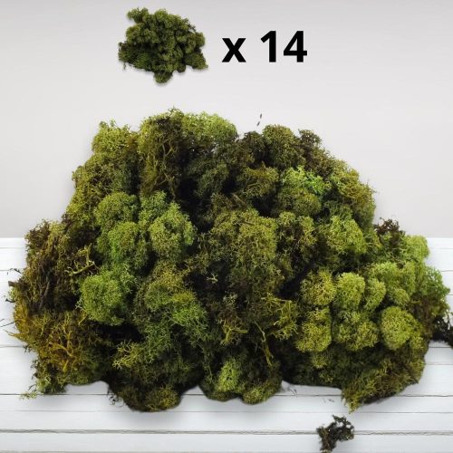 Izlandi zuzmó, moha szín 500gr