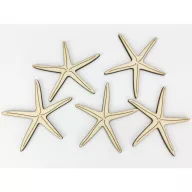 Natúr fa - Tengeri csillag 8cm 5db/csomag – nyári dekorációhoz