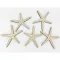 Natúr fa - Tengeri csillag 8cm 5db/csomag – nyári dekorációhoz