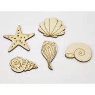 Natúr fa - Kagyló-csiga csomag 4-6cm 5db/csomag – nyári dekorációhoz