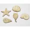 Natúr fa - Kagyló-csiga csomag 4-6cm 5db/csomag – nyári dekorációhoz