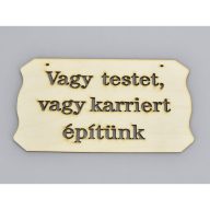 Natúr fa - "Vagy testet vagy karriert.." tábla 10,8x19,7cm – festéshez, dekorációhoz