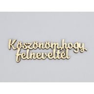 Natúr fa - "Köszönöm, hogy felneveltél" felirat 4x15cm – festéshez, dekorációhoz