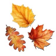Nyomtatott dekorkarton - Őszi falevelek 6-7cm 3db/cs – őszi dekorációhoz