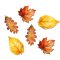 Nyomtatott dekorkarton - Őszi falevelek 4-5cm 6db/cs – őszi dekorációhoz