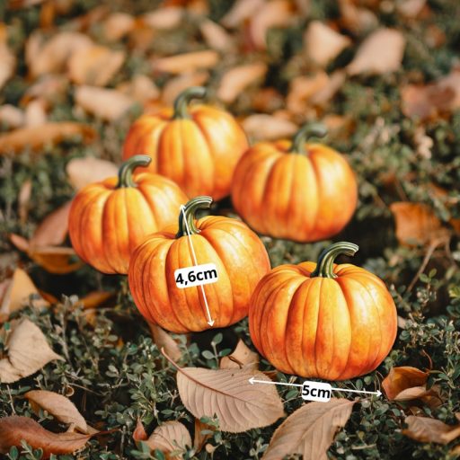 Nyomtatott dekorkarton - Tök 5cm 5db/csomag – őszi dekorációhoz