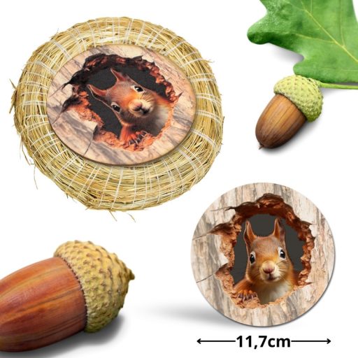 Nyomtatott fa tábla koszorú közép - Kíváncsi mókus 11,8 – karácsonyi dekorációhoz