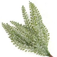 12 ágú levél pick havas zöld – koszorúhoz, természetes dekorációhoz