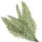 12 ágú levél pick havas zöld – koszorúhoz, természetes dekorációhoz