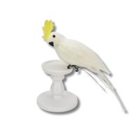 Papagáj fehér 36cm – kreatív dekorációhoz – Dekorációs kellékek