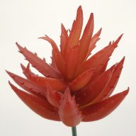 Pozsgás műnövény – virágdekorációhoz, koszorúhoz – Selyemvirágfej, csokor, zöldek #7448A