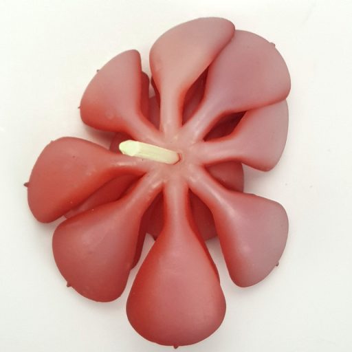 Pozsgás műnövény – virágdekorációhoz, koszorúhoz – Selyemvirágfej, csokor, zöldek #7450B