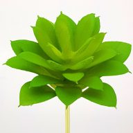 Pozsgás műnövény – virágdekorációhoz, koszorúhoz – Selyemvirágfej, csokor, zöldek #7451C