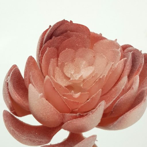 Pozsgás műnövény – virágdekorációhoz, koszorúhoz – Selyemvirágfej, csokor, zöldek #7452