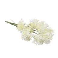 Fehér bolyhos bokor