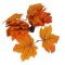Őszi falevelek Narancs 48db/csomag – koszorúhoz, természetes dekorációhoz