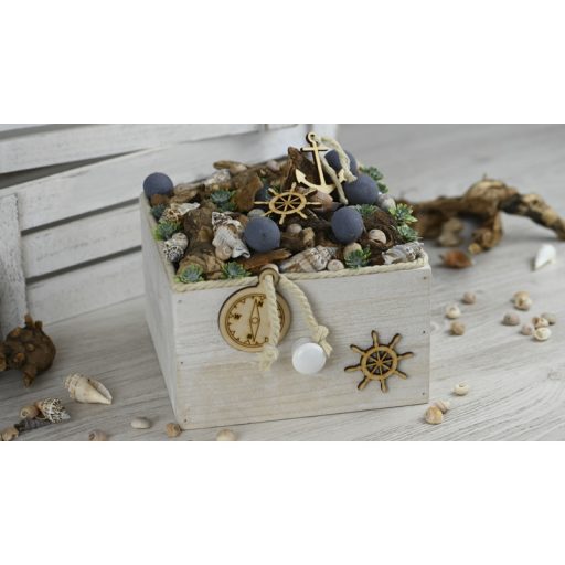 Vegyes csigák 4-6cm 10dkg/csomag – nyári dekorációhoz