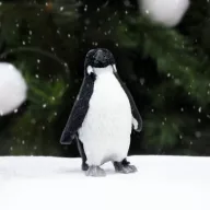 Pingvin prémium – karácsonyi dekorációhoz – Szezonok, alkalmak