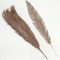 Rózsaarany toll csillámos 10db/csomag – koszorúhoz, természetes dekorációhoz
