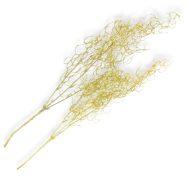 Hosszúlevelű asparagus csillámos arany 2db/csomag - KIFUTÓ – virágdekorációhoz, koszorúhoz