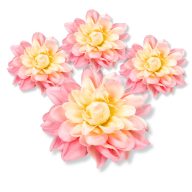 Dália fej - rózsaszín krém 4db/csomag