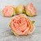 Százlevelű rózsa fej - cirmos barack 4db/csomag – virágdekorációhoz, koszorúhoz