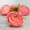 Százlevelű rózsa fej - rózsaszín 4db/csomag – virágdekorációhoz, koszorúhoz