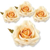 Rózsa fej - krém barack 4db/cs