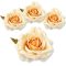 Rózsa fej - krém barack 4db/cs