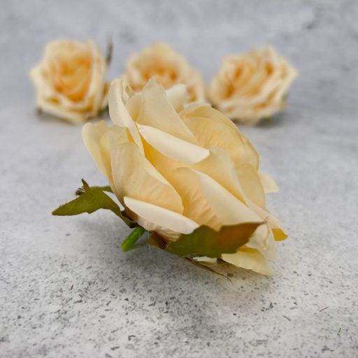 Rózsa fej - krém barack 4db/cs