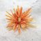 Kínai krizantém fej - napsárga – virágdekorációhoz, koszorúhoz