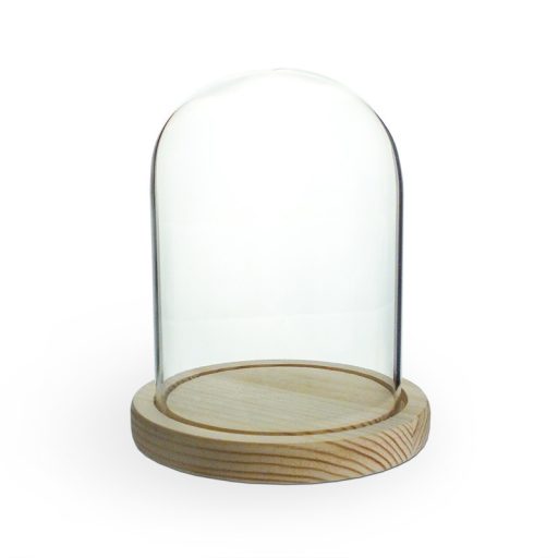 Üvegbúra fa talppal 11*15cm – esküvői dekorációhoz