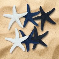 Tengeri csillag csomag 6db/csomag – karácsonyi dekorációhoz
