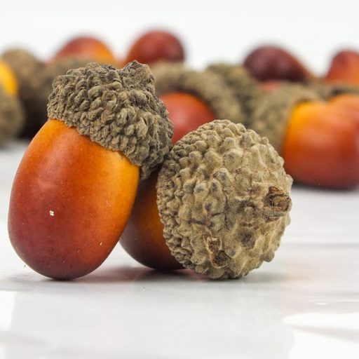 Dekorációs makk kb. 500db/csomag - OKOSÁR! – kreatív dekorációhoz – kreatív hobby projektekhez és dekorációhoz – Papelito.hu