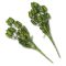 Csillámos komló csokor zöld  2db/csomag – koszorúhoz, természetes dekorációhoz