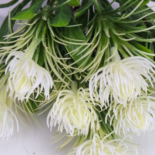 Mini protea csokor fehér – virágdekorációhoz, koszorúhoz