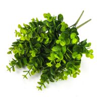 Eukaliptusz csokor sárgászöld