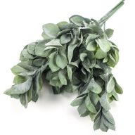 Babér csokor sötétzöld – virágdekorációhoz, koszorúhoz