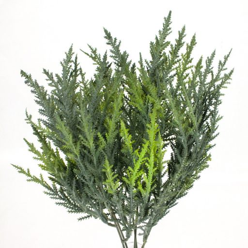 Thuja csokor sötétzöld
