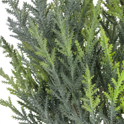 Thuja csokor sötétzöld