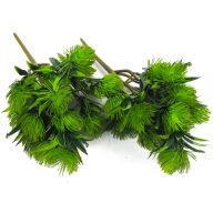 Protea csokor sötétzöld 2db/csomag – virágdekorációhoz, koszorúhoz