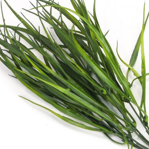 Fűcsokor sötétzöld